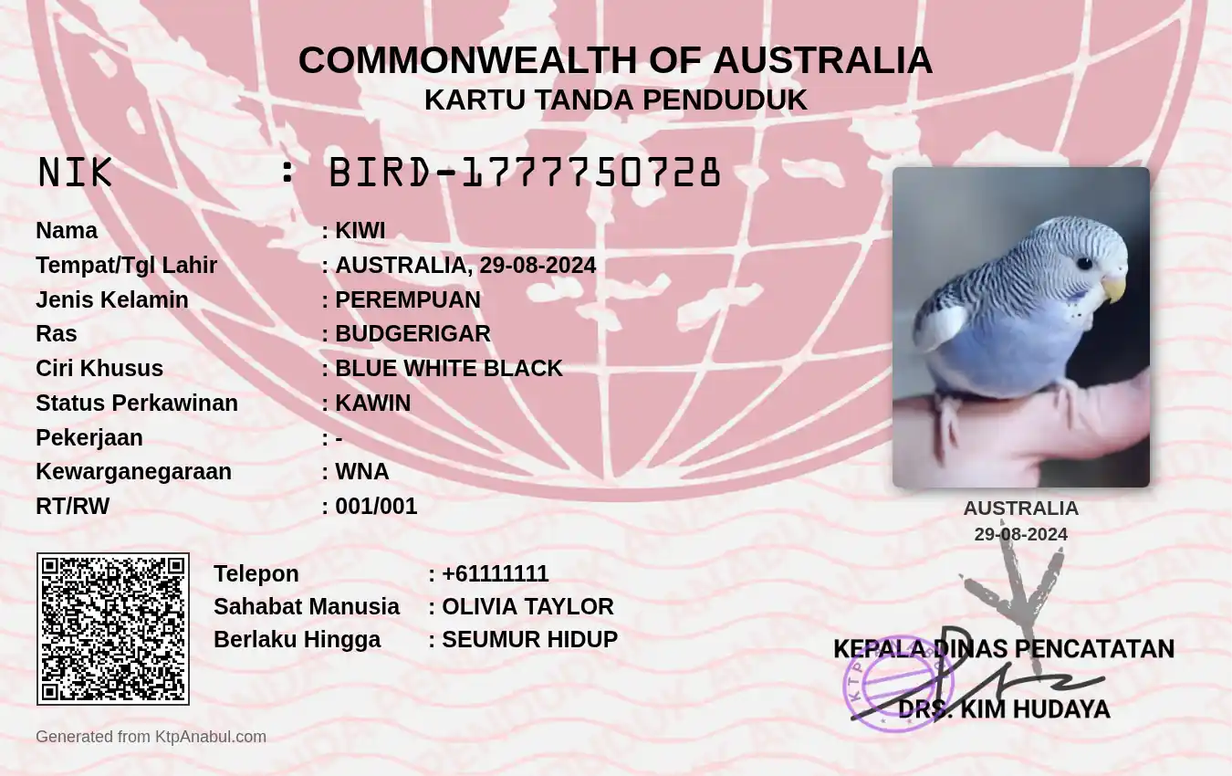 Kiwi