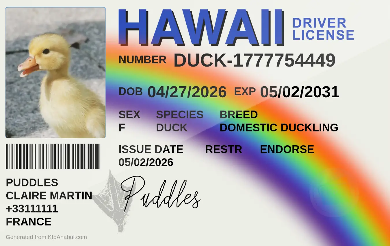 Puddles